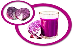 Cabbage Juice Concentrate USA